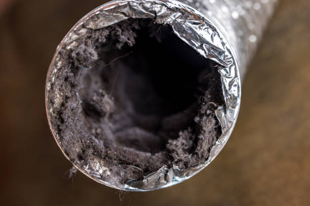 Best Residential Air Duct Cleaning  in Springfield, IL